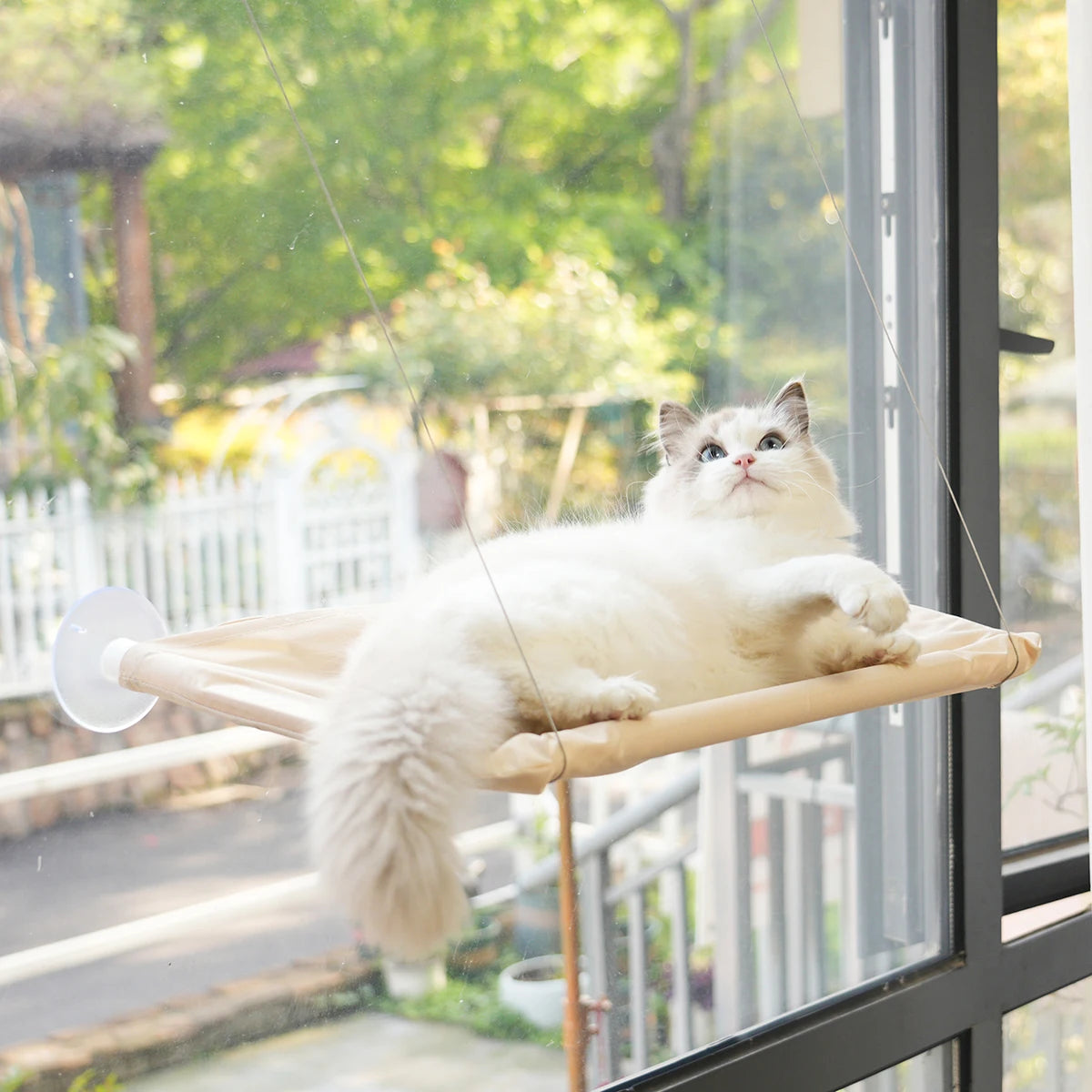 Cute Pet Hanging Beds Bearing 20kg Cat Sunny Window Seat Mount Pet Cat Hammock Comfortable Cat Pet Bed Shelf Seat Beds