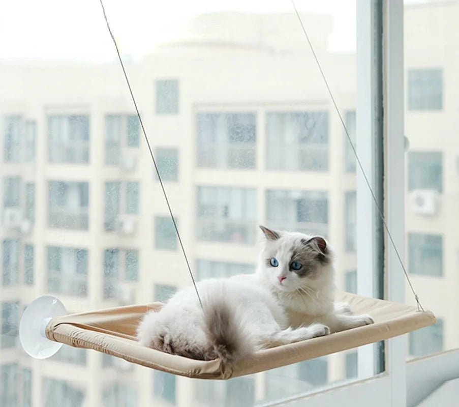 Cute Pet Hanging Beds Bearing 20kg Cat Sunny Window Seat Mount Pet Cat Hammock Comfortable Cat Pet Bed Shelf Seat Beds