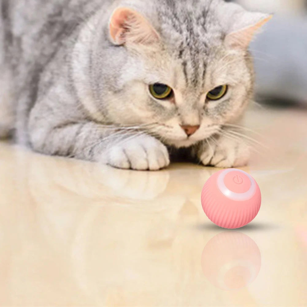 USB Rechargeable Electronic Pet Cat Toy Ball Pet Supplies Interactive Pet Ball Toy for Puppy Birthday Gift for Indoor Cat Kitten